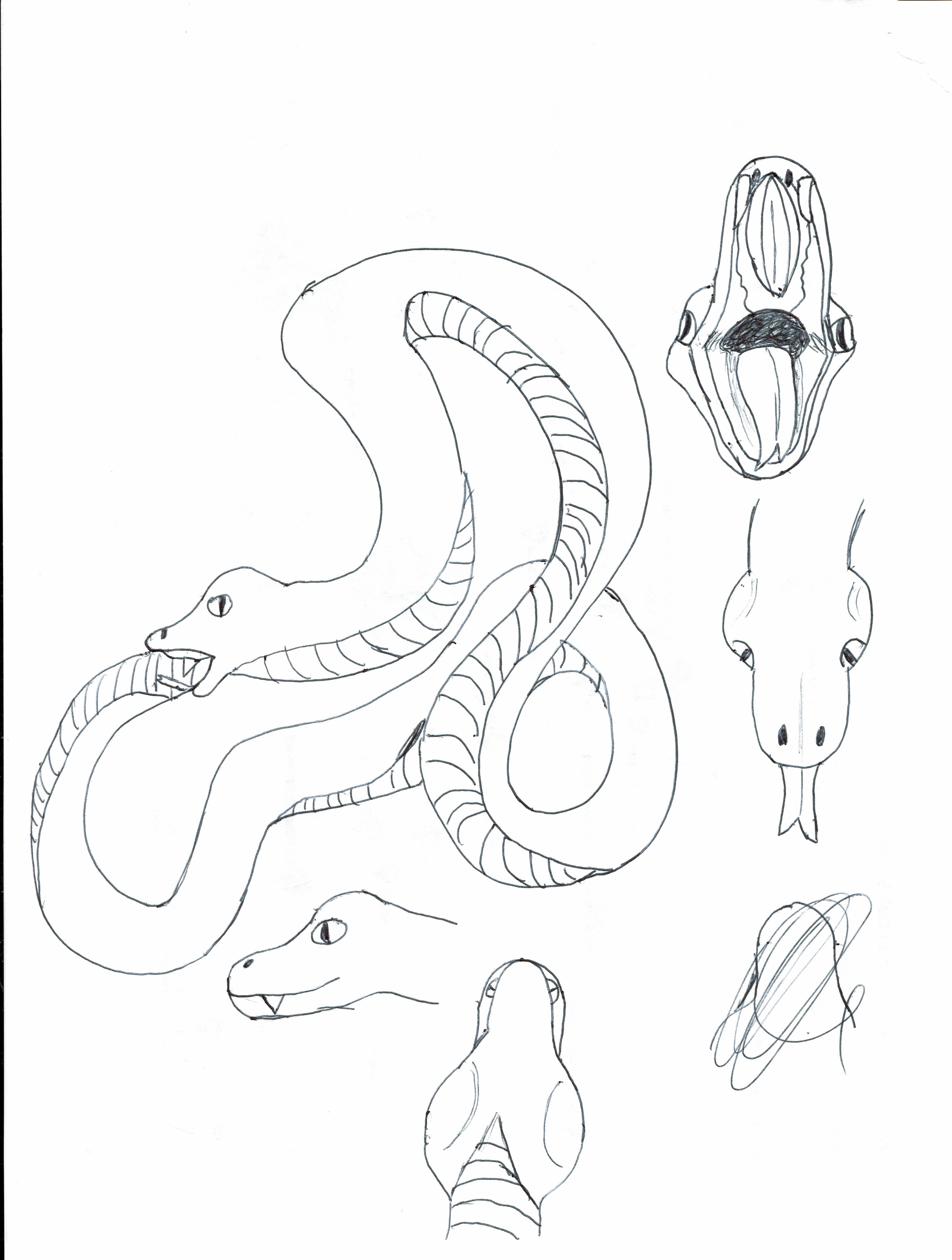 a pen sketch of snakes in various poses